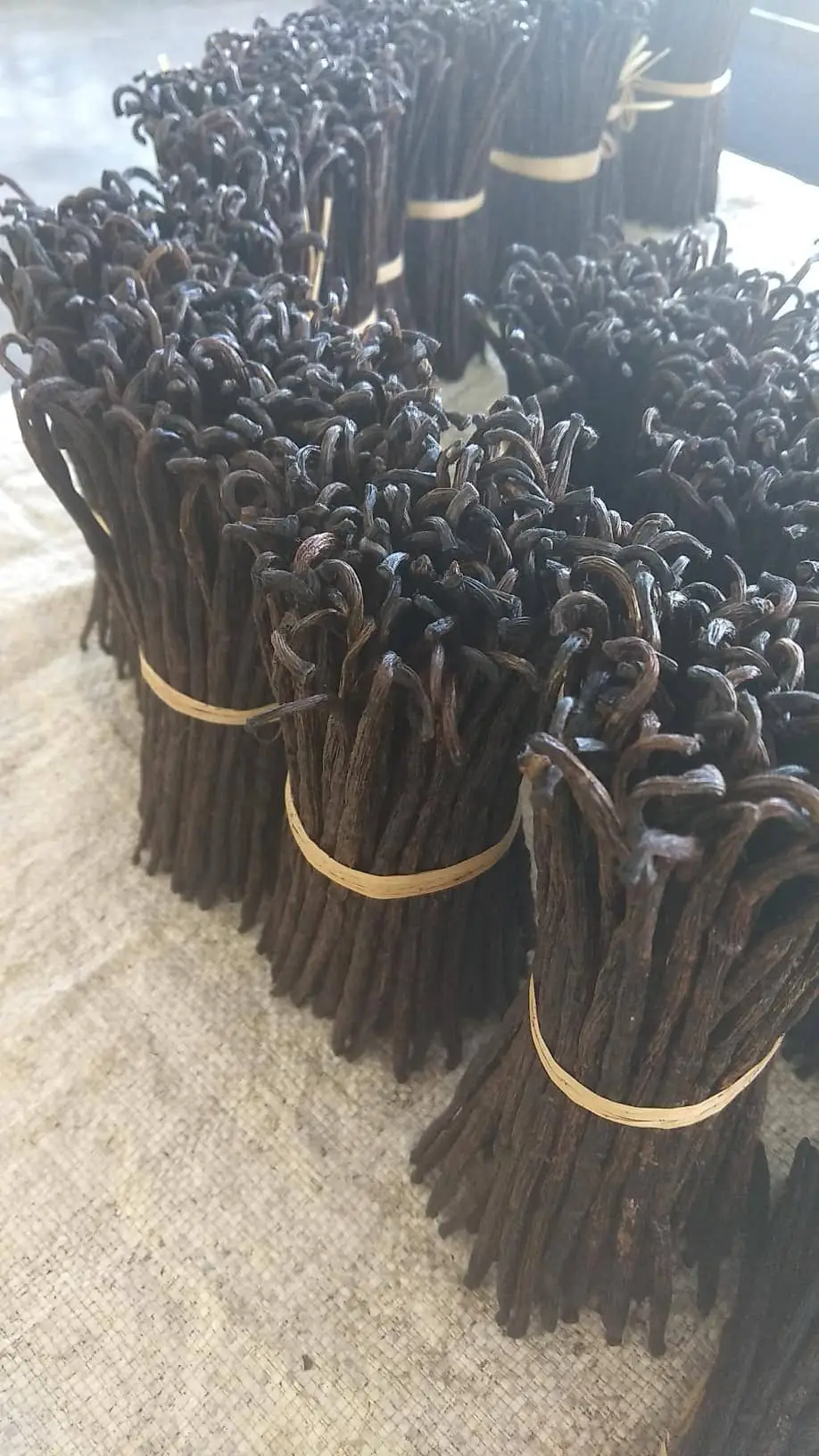 Madagascar Gourmet Grade A vanilla beans
