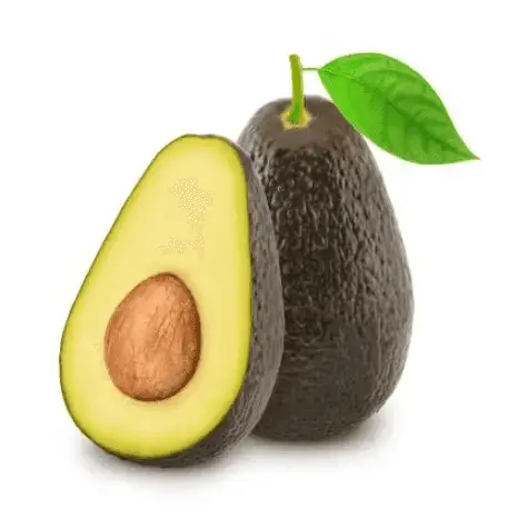 High Quality Kenyan Fresh Avocado