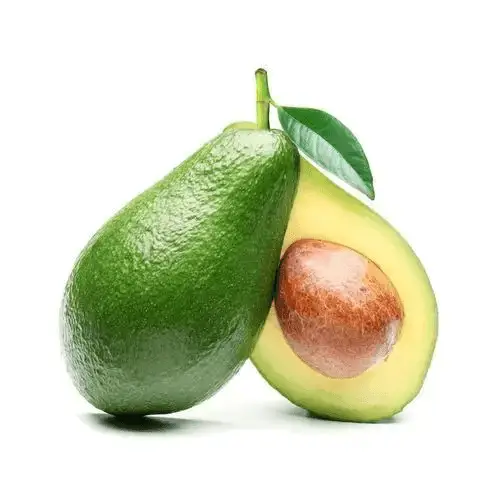 High Quality Fresh Avocado