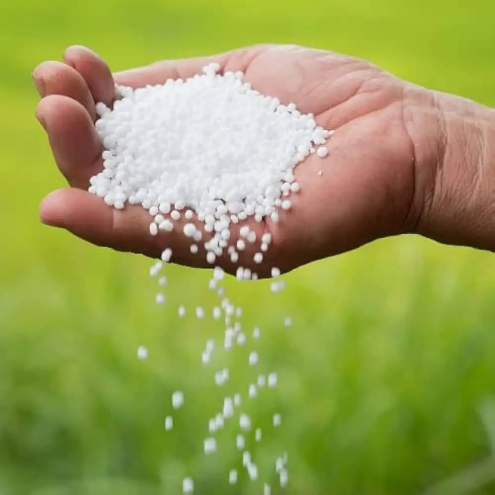 Urea