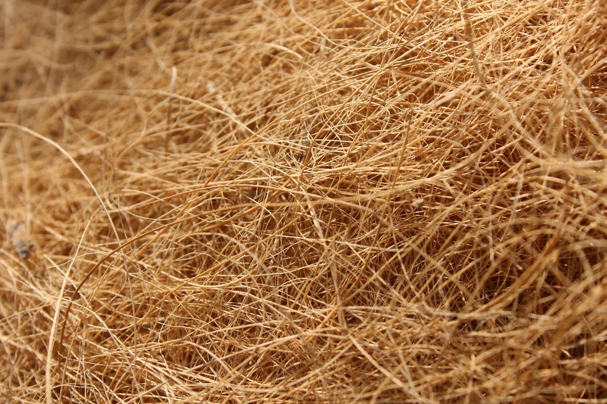 COCONUT FIBER
