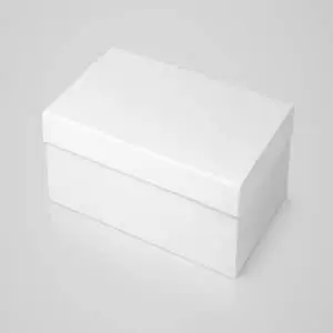 Plastic Shoe Box