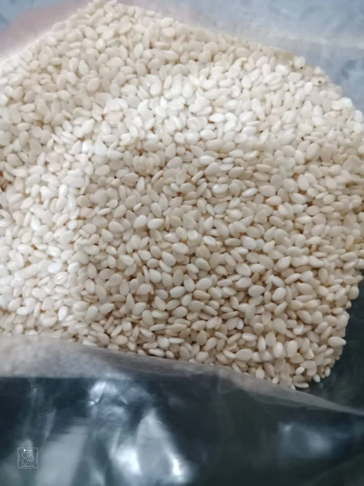 sesame