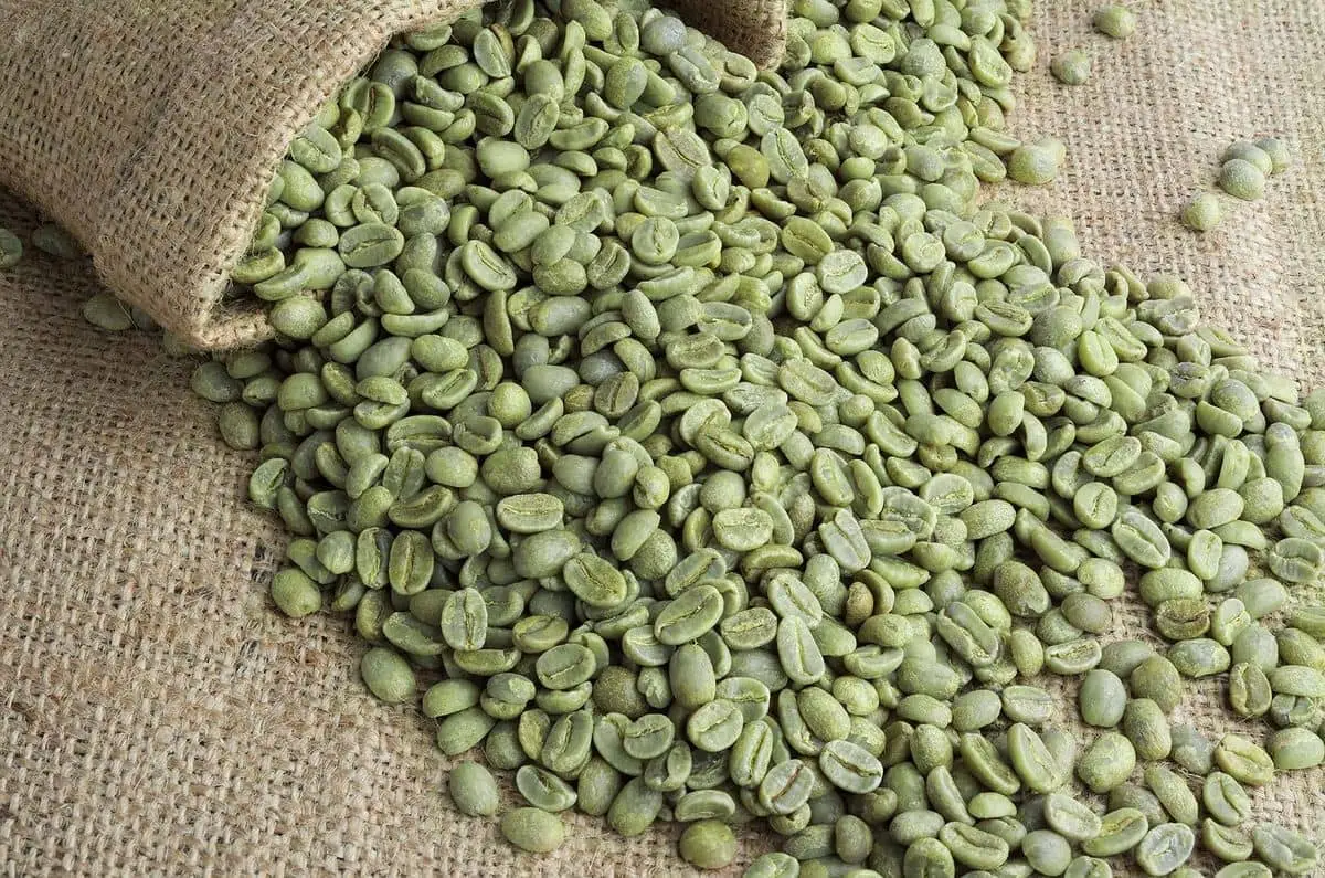Arabica-Coffee-Beans