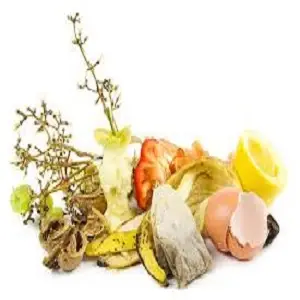 Biodegradable Products