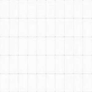 Graph Paper