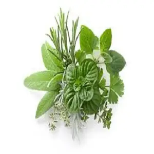 Raw Herbs