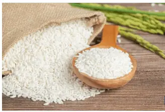 RICE Type 1