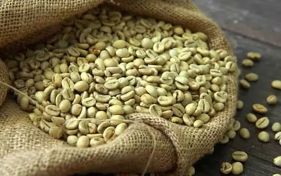 Green coffee beans