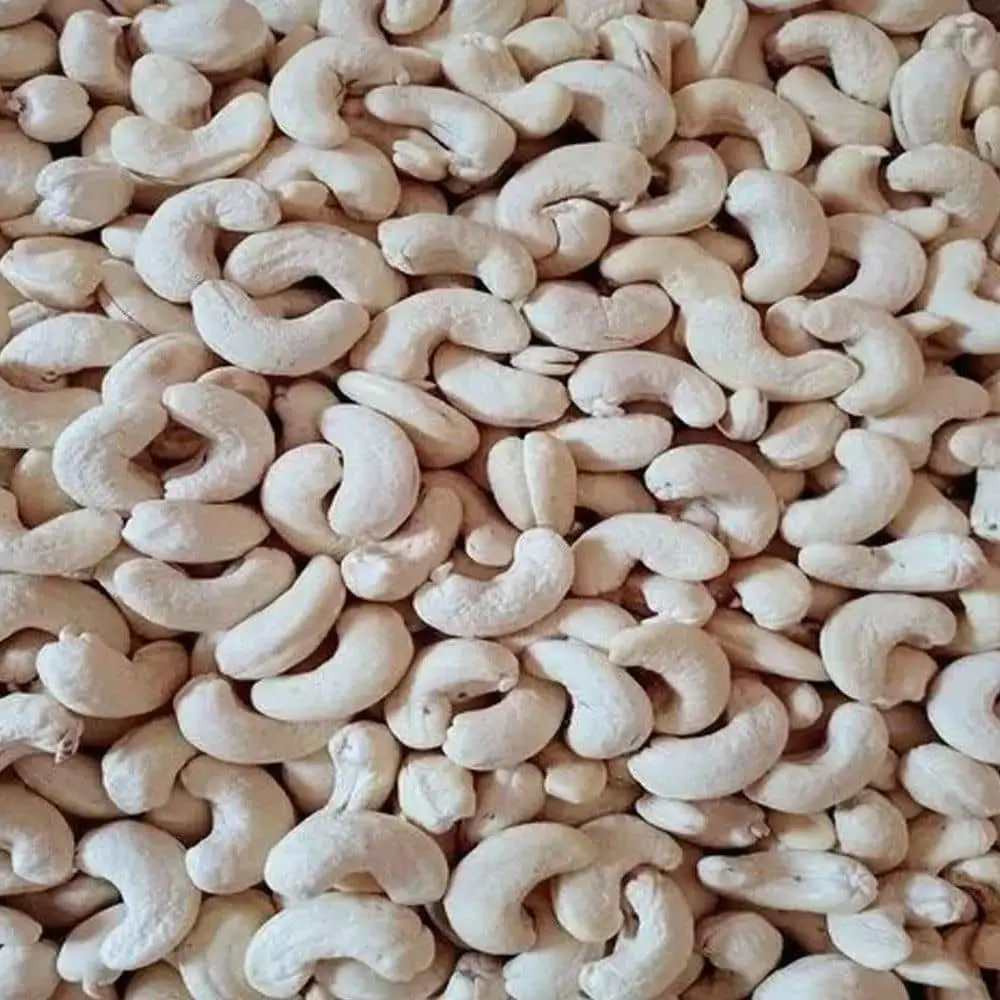 Cashew Nut