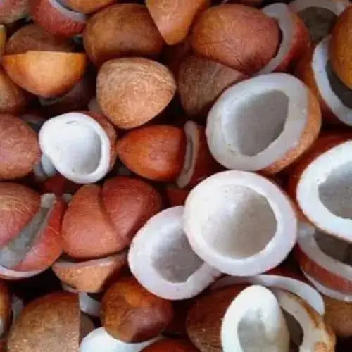 Dry Coconut (Copra)