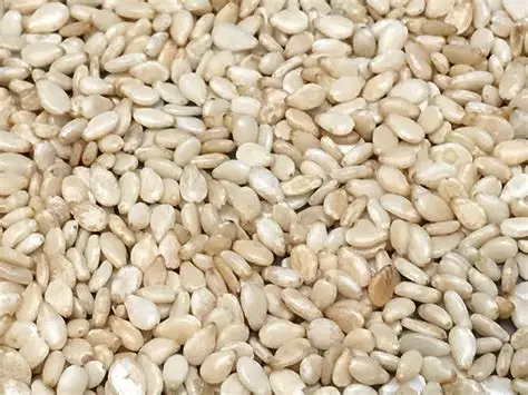sesame seed