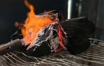 Wood Charcoal