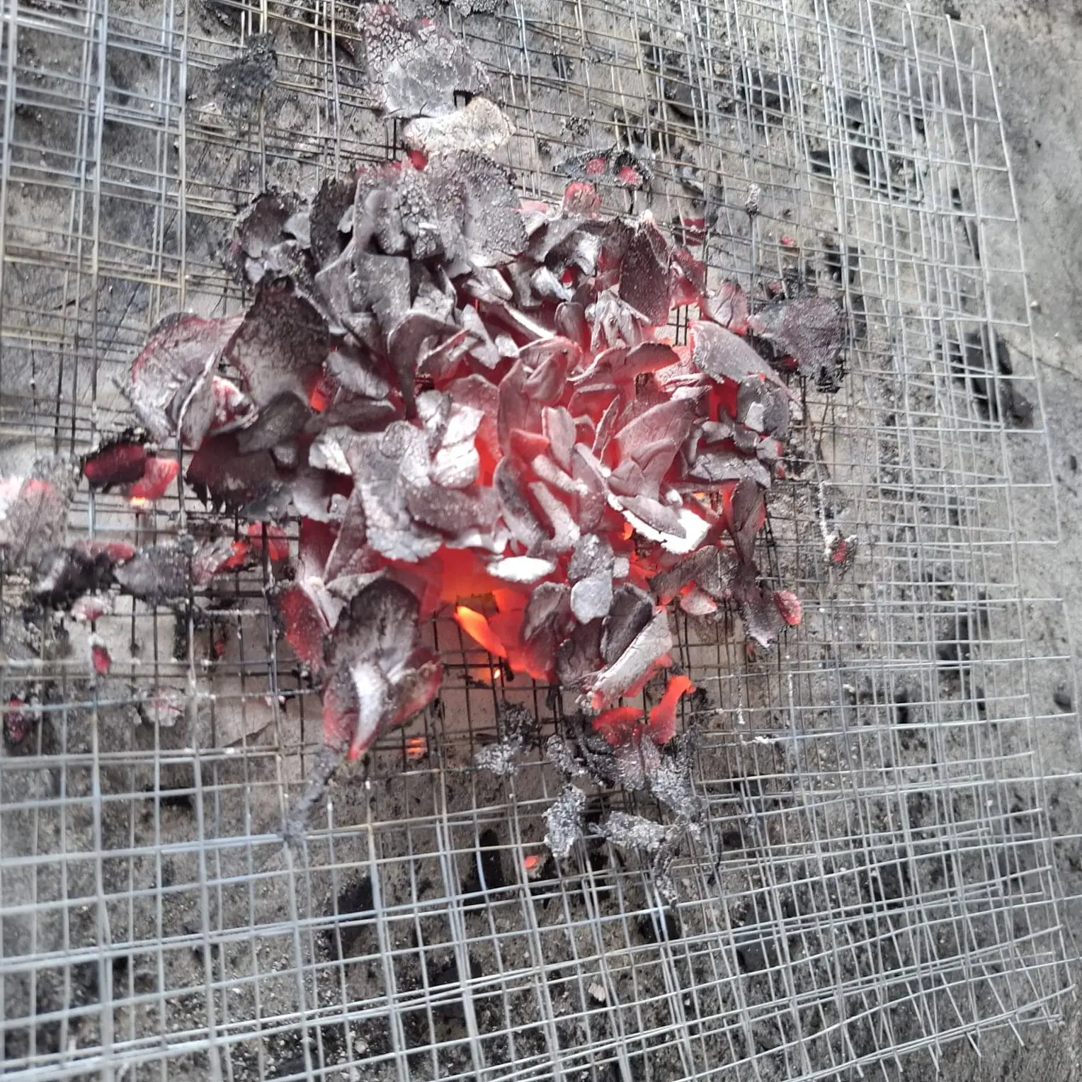 coconut charcoal