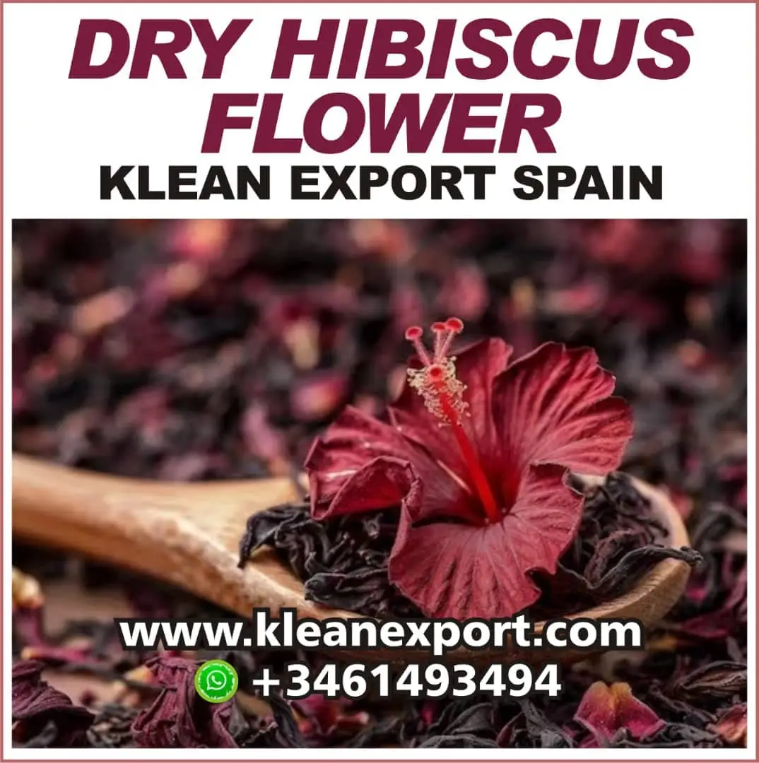 HIBISCUS FLOWER