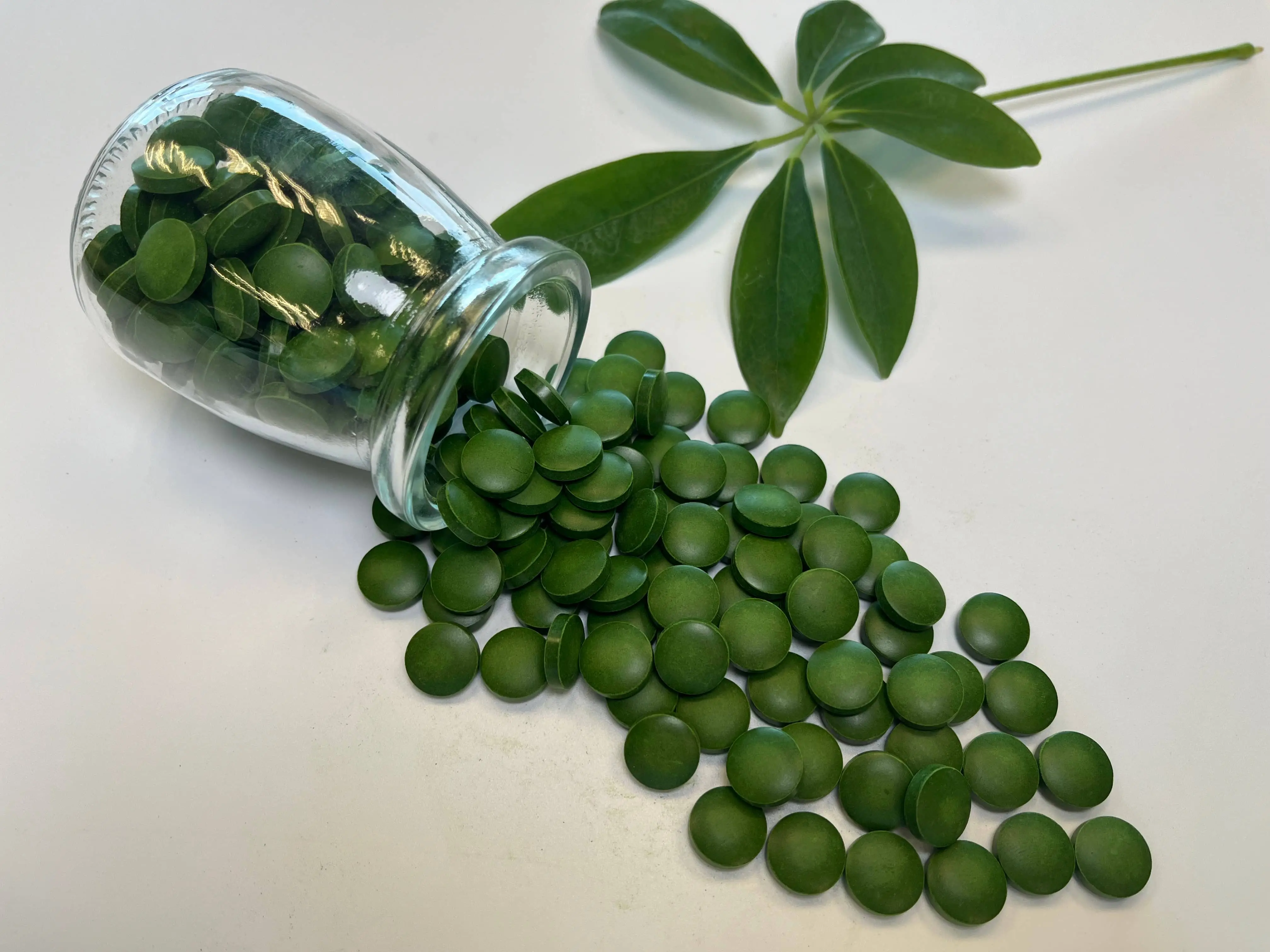 Chlorella Tablets (Organic Chlorella Tablets)