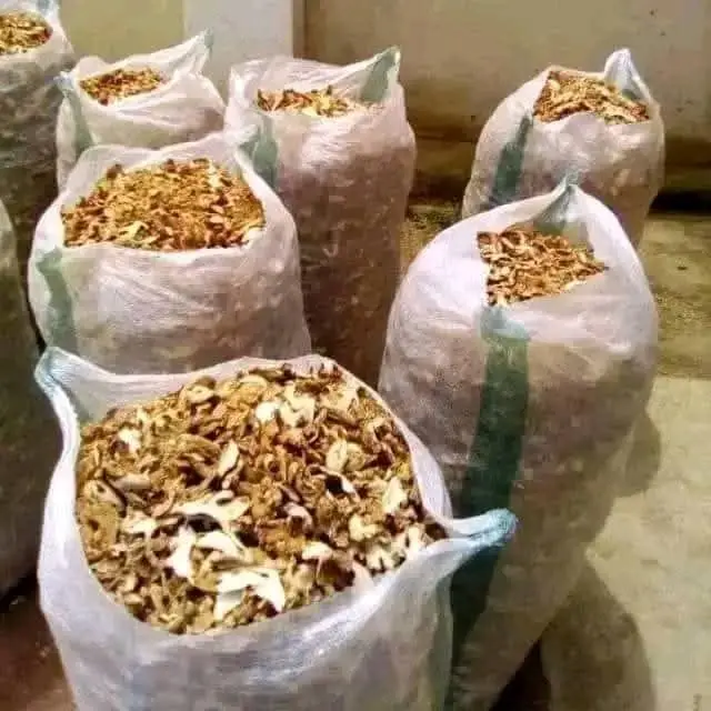 Dried Ginger
