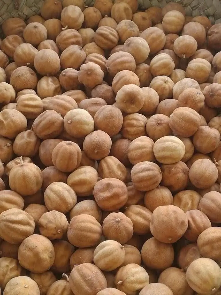 dried yellow lemon