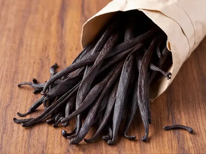Vanilla Bean