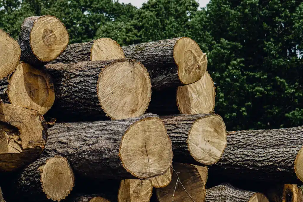 hardwood logs maple