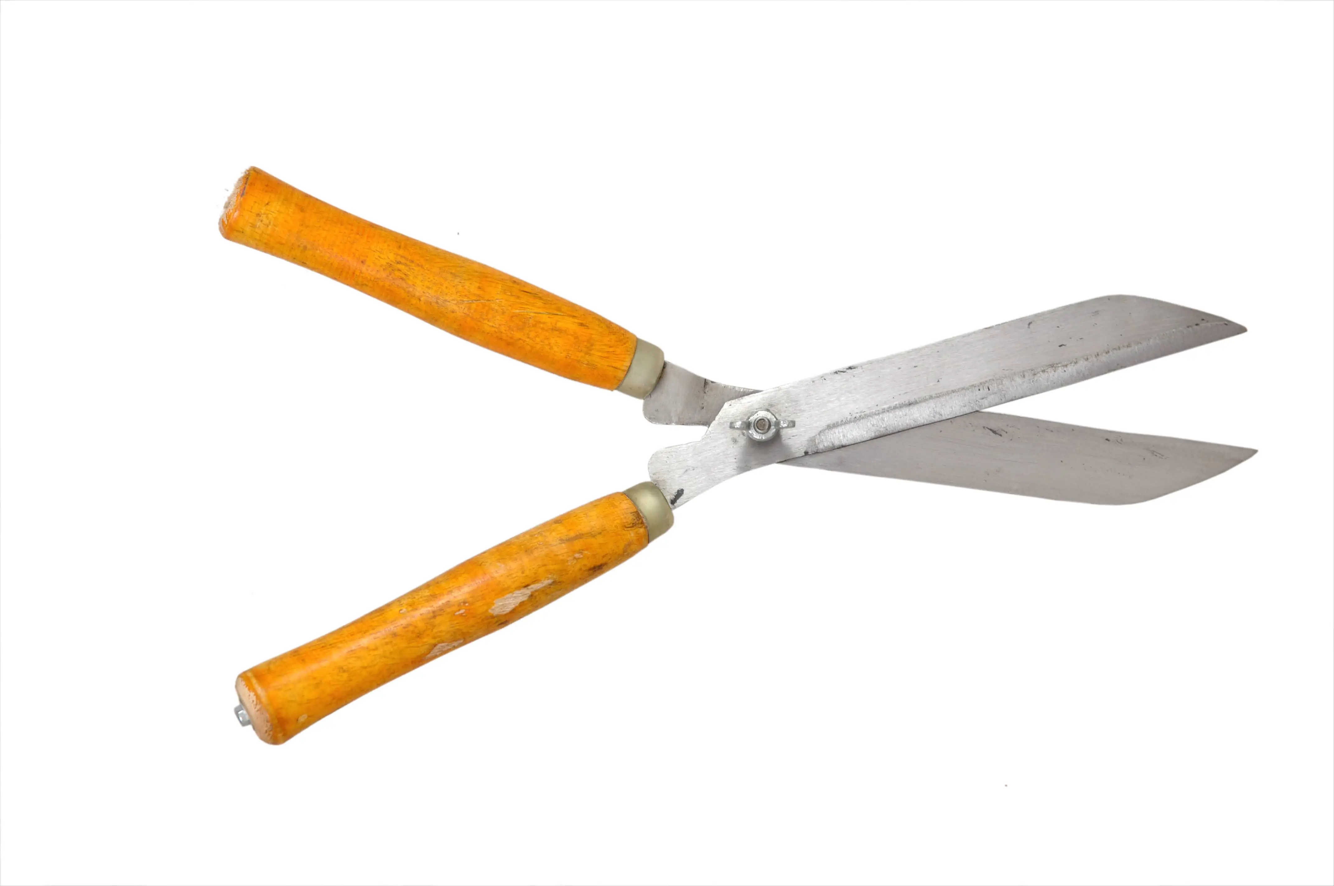 HEDGE SHEAR