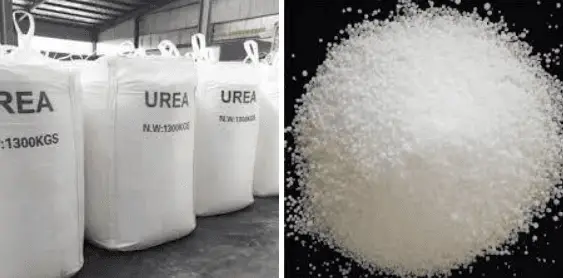 Urea 46%