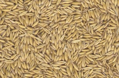 Oats - Clipped and Dressed (Racing Oats), Feed, Milling, Hulled (Naked or Oat Groats), Rolled and Instant.