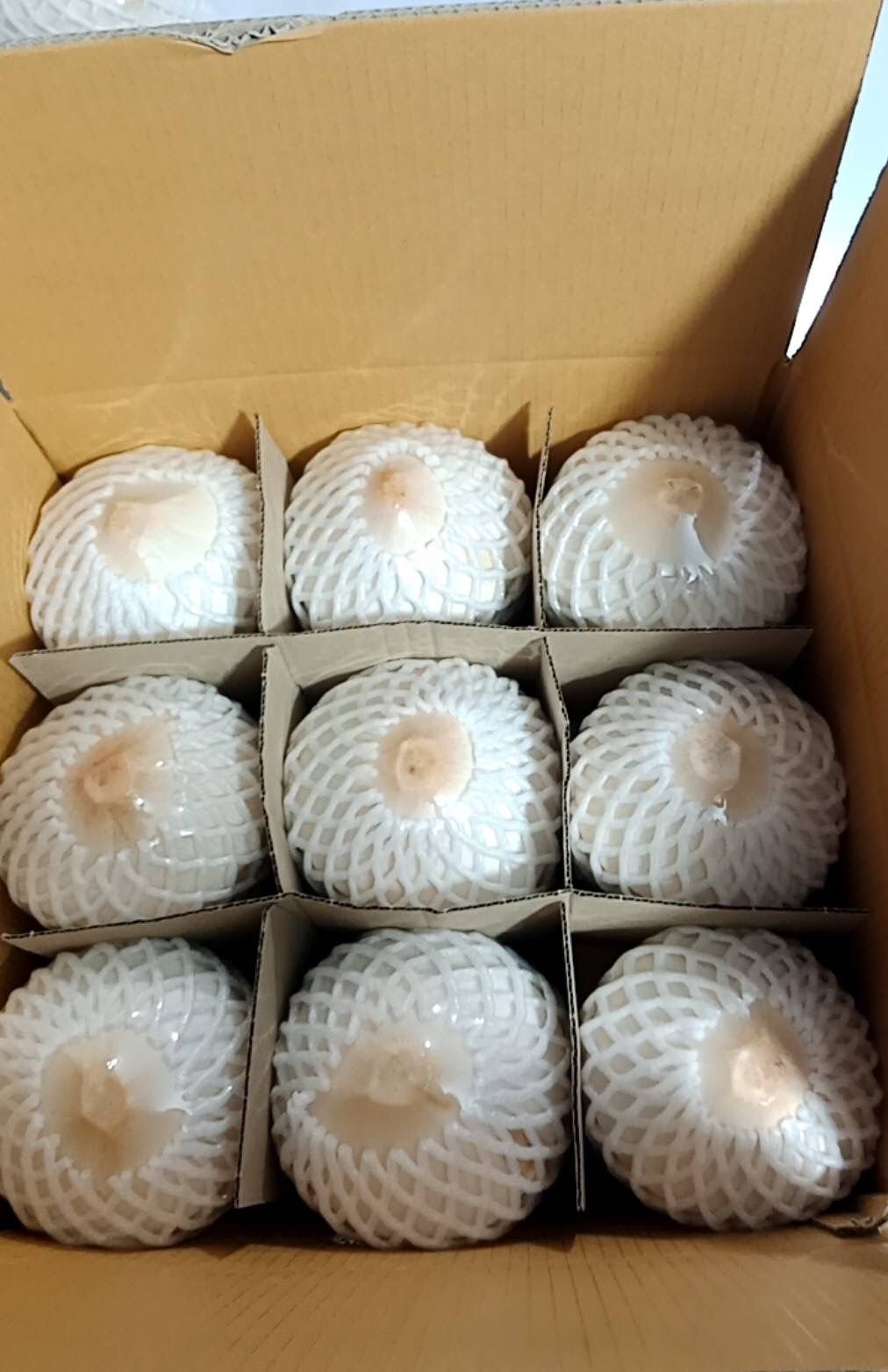 NAM HOM Fresh Thai Coconut