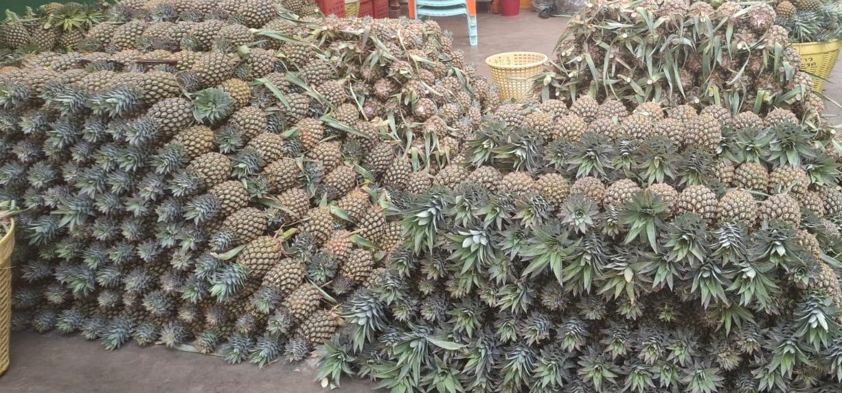 Thai Pineapple