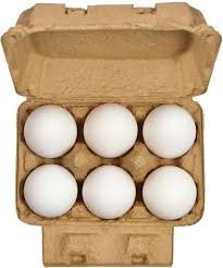 Organic Farm Eggs