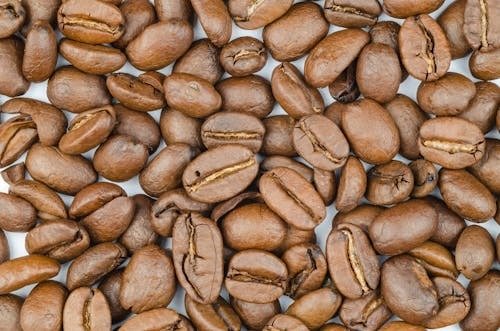 Robusta Coffee
