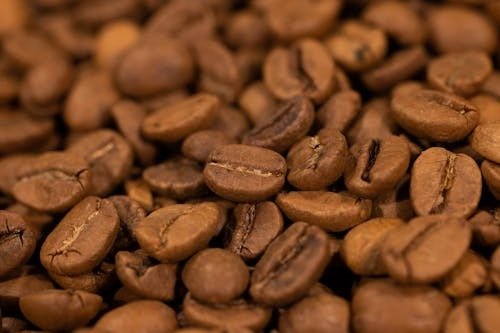 Liberica Coffee