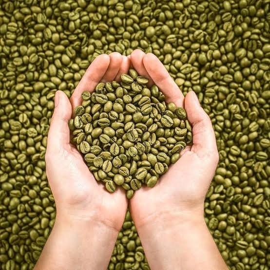Arabica