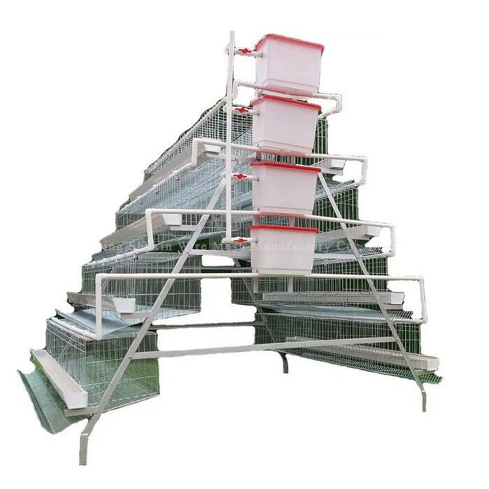 Layer chicken cage