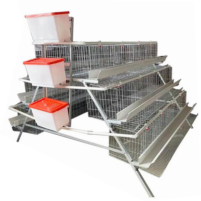 Layer chicken cage