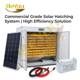 The high quality 3168 solar eggs incubator well-known egg incubator OEM manufacturer Buying guide