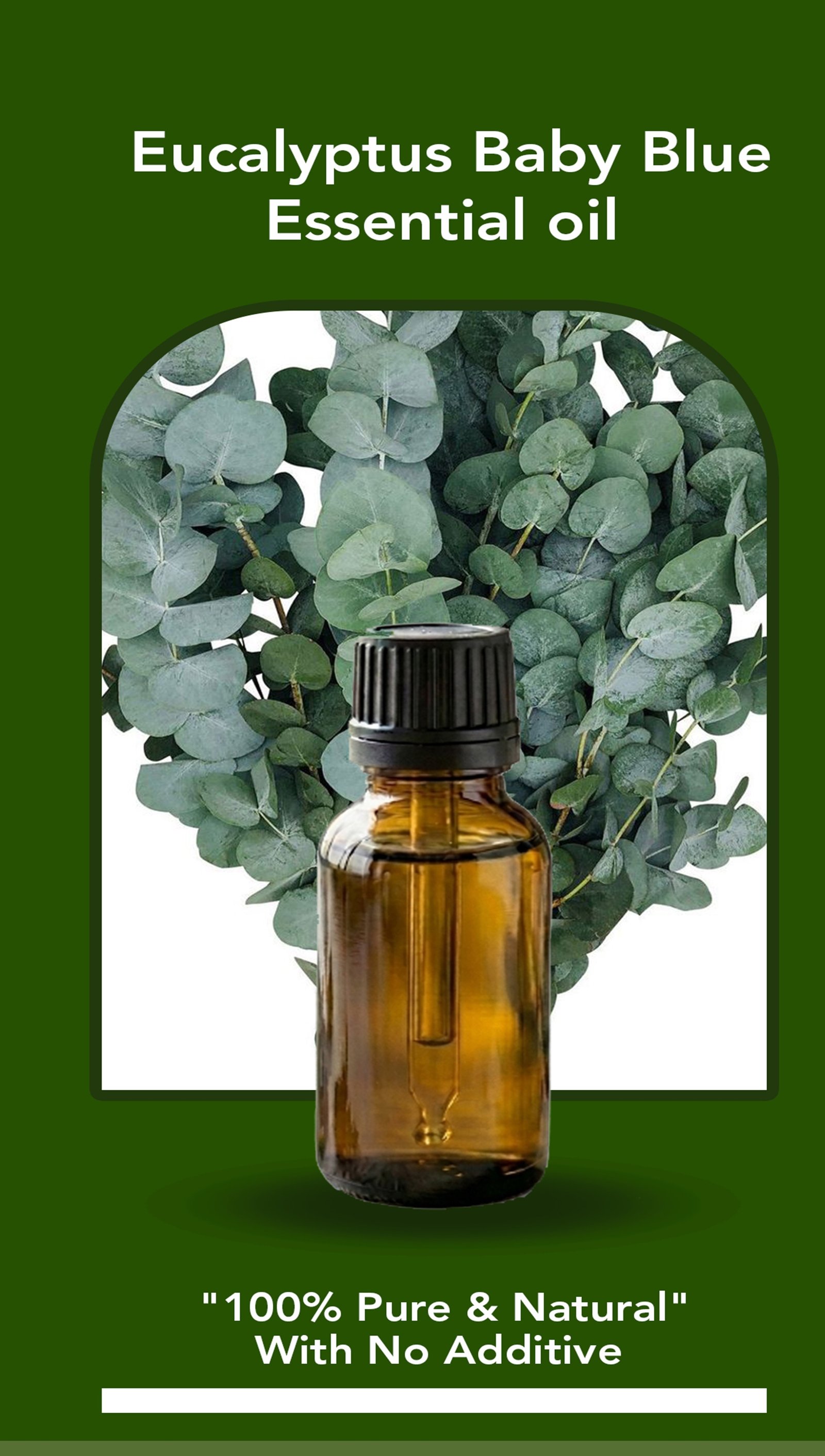 Eucalyptus Baby Blue Essential Oil (Raw)