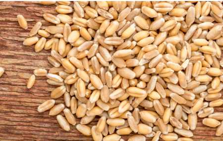 Wheat flour