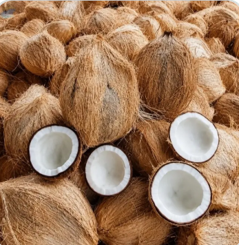 Semi Husked Coconut