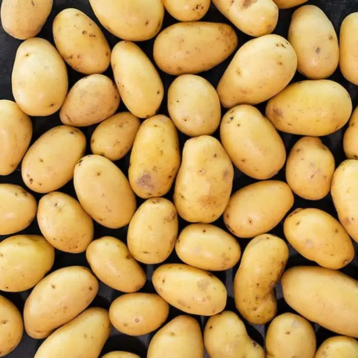 Fresh Potatoes