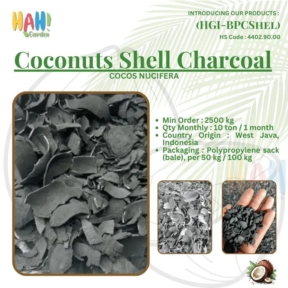 Coconut Shell Charcoal