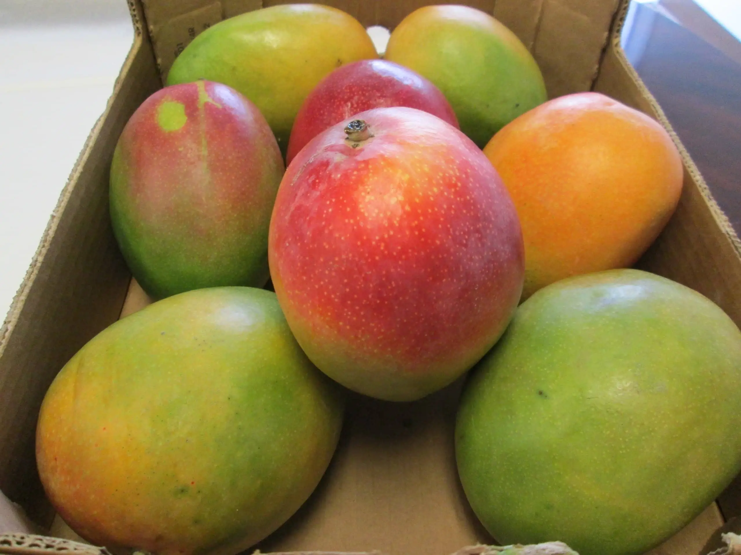 Mango