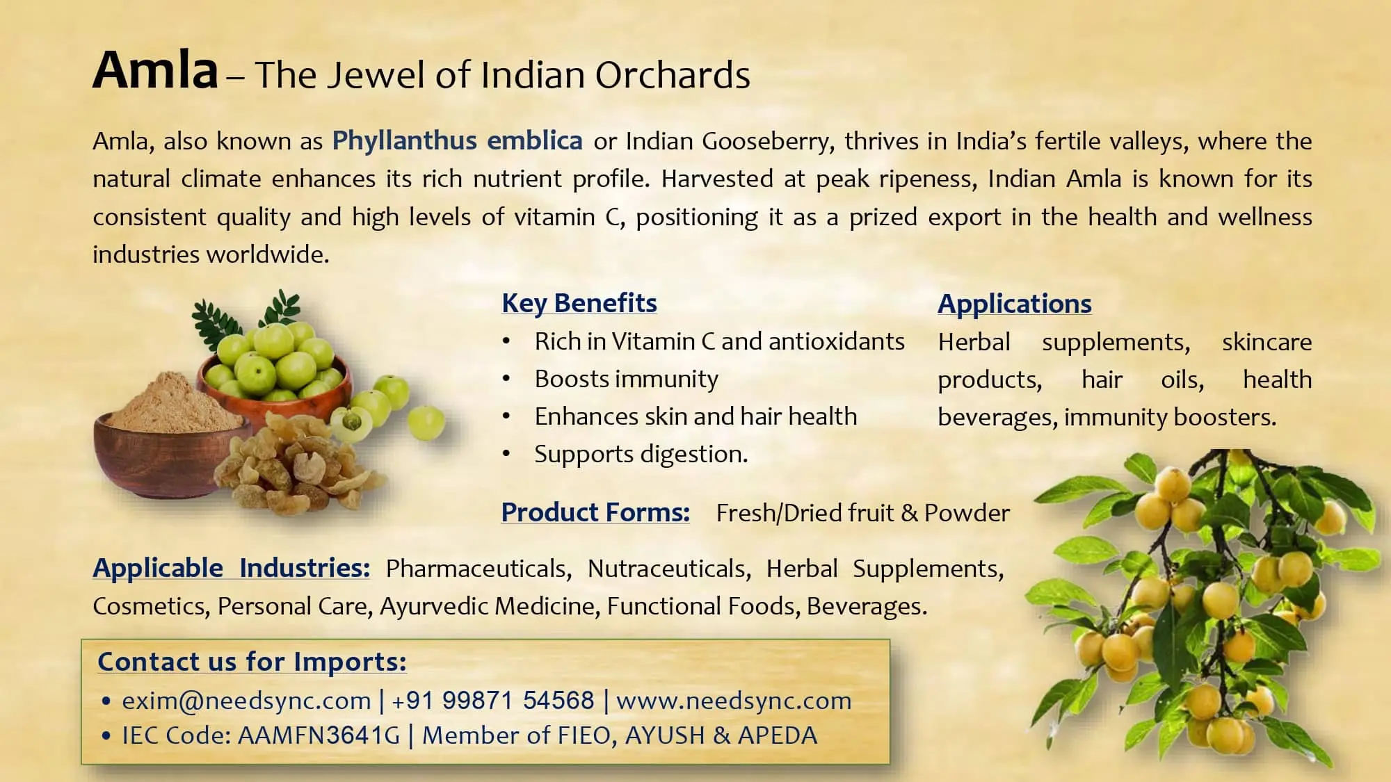Amla Powder & fruit