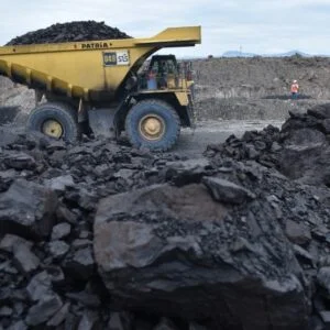 Coal From Indonesia