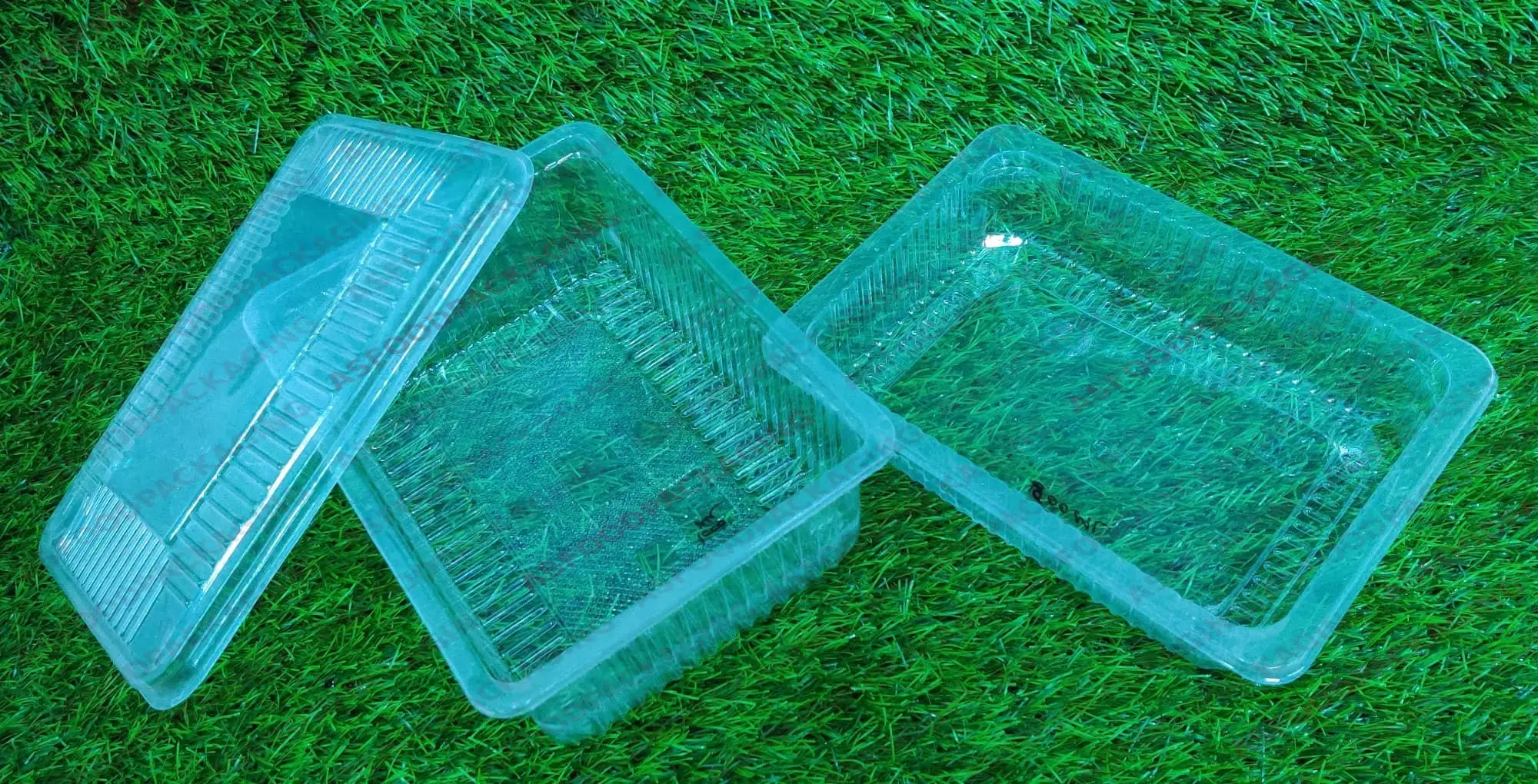 Disposable Boxes