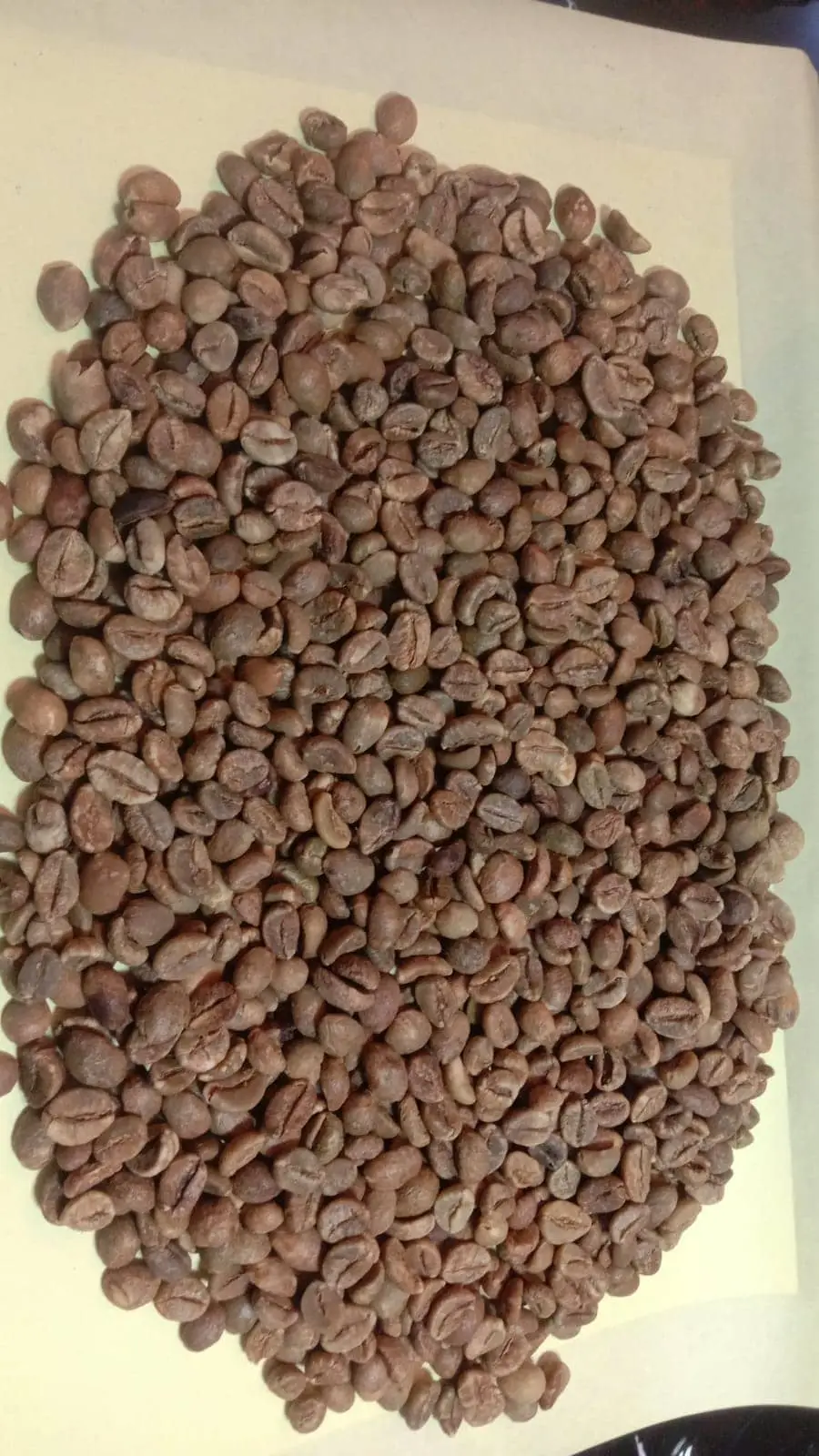 Coffee Beans