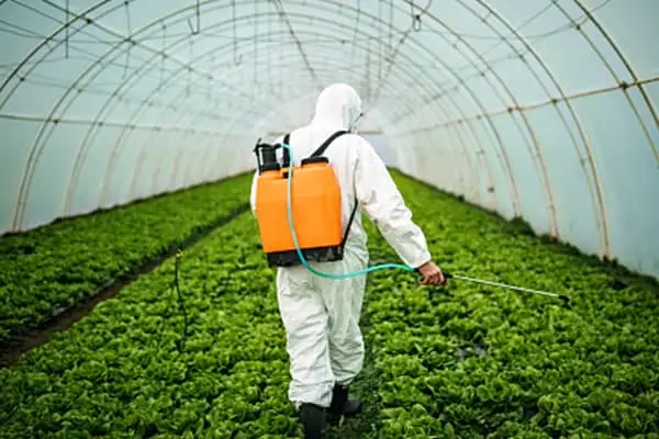 INSECTICIDE