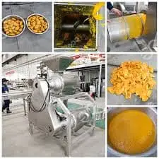 Mango Processing Machinery