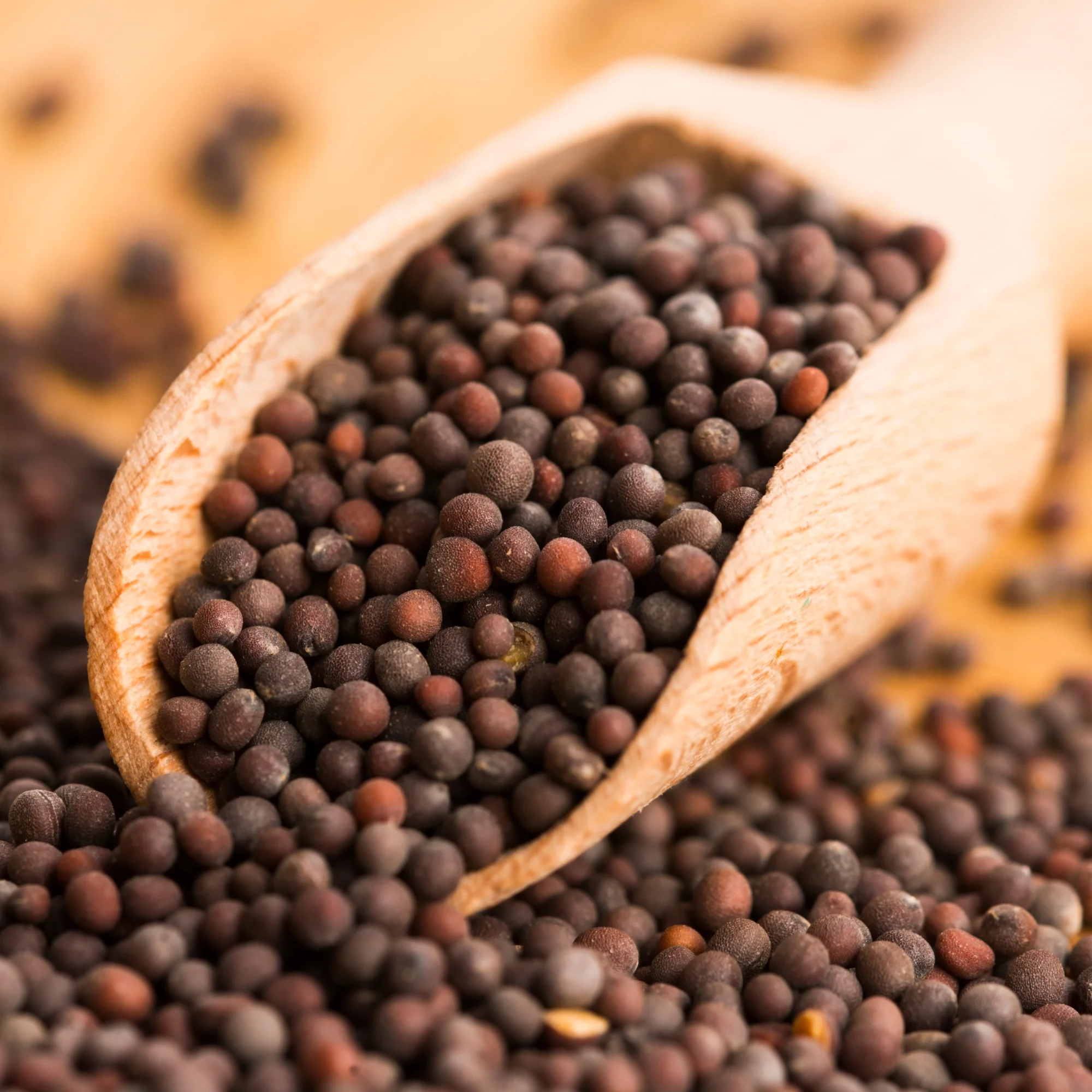 Mustard seed