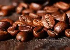 Robusta coffee